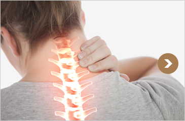척추 모양에 관련된 자세유지근 기능장애